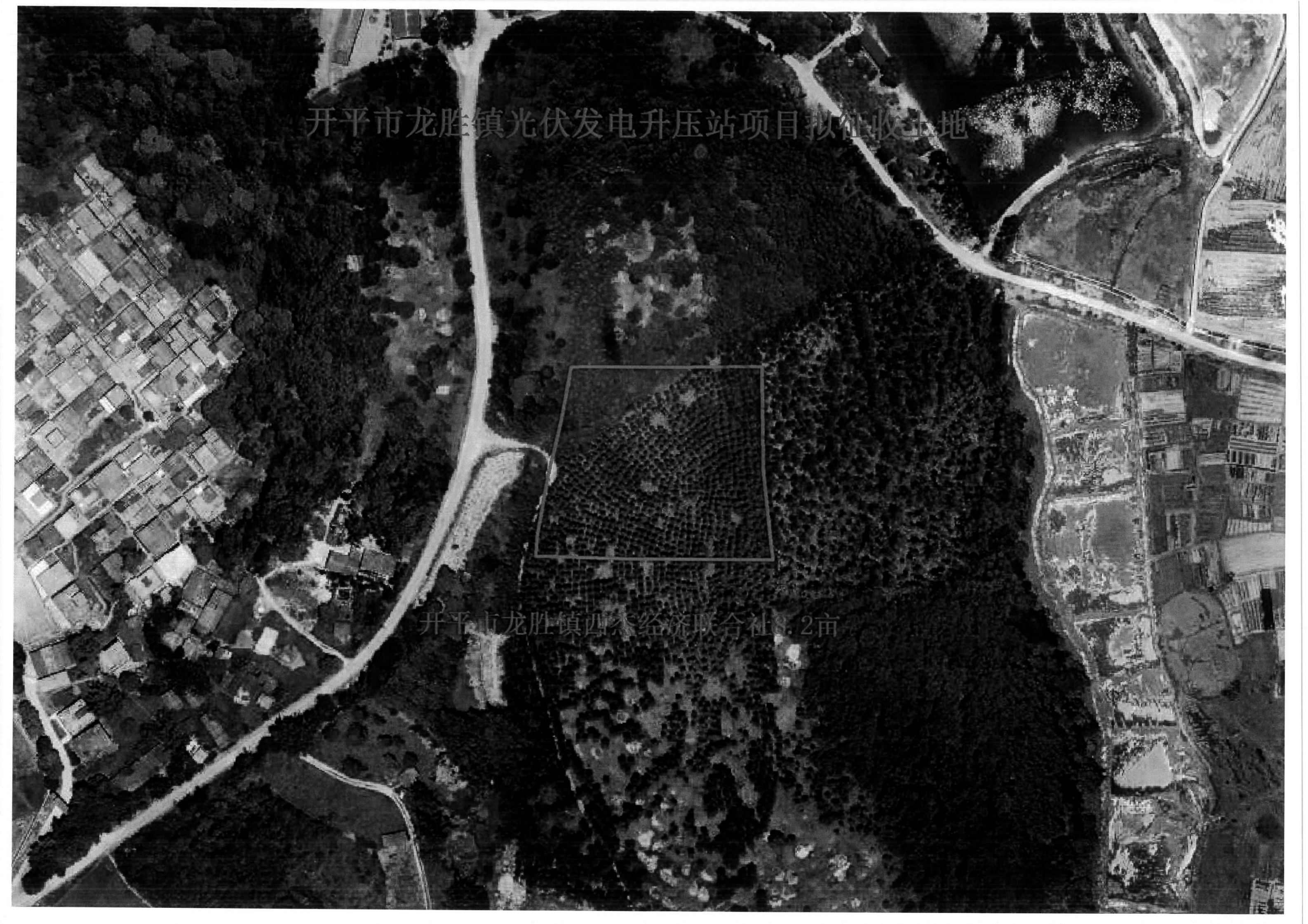 海棠直播
龙胜镇光伏发电升压站项目征收土地预公告-龙胜镇杰西济联合社-编号：开府布〔2021〕50号_01.png