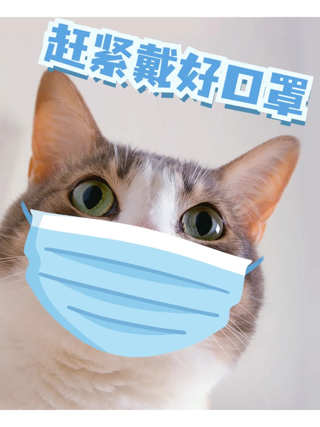 防疫疫情居家生活分享简约风plog模板 (1).jpg 图片