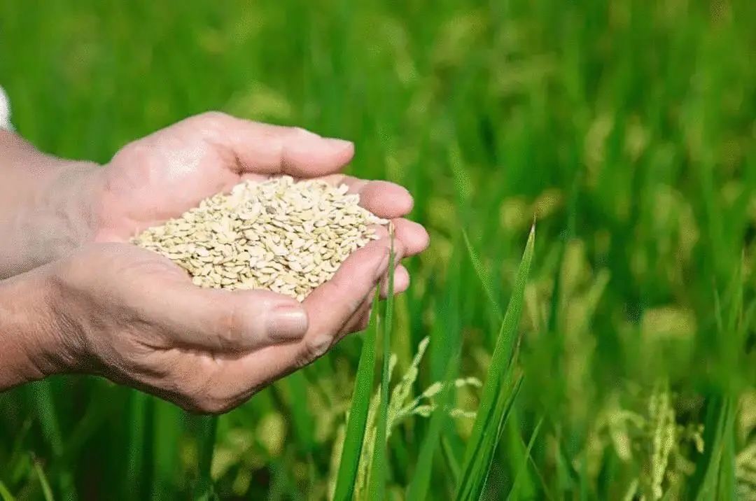 W020210528364362537014.jpg 图片