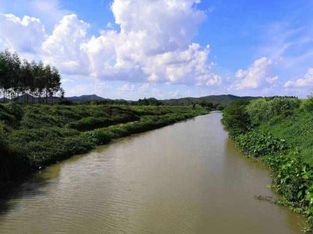 丽洞水沙塘镇蓢畔村河段