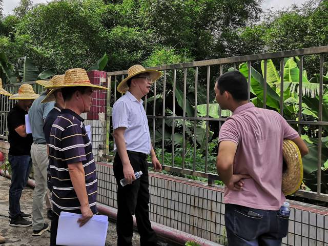 镇总河长关华俊参加镇海水干流沙塘段综合治理工程前期调研督导工作