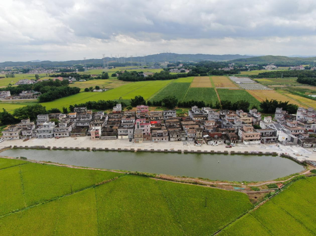 茅冈村.png 图片