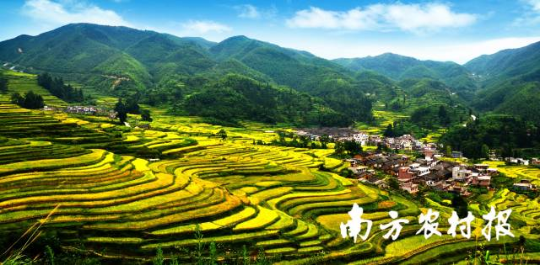 韶关乐昌市“诗画田园”乡村游线路 韶关乐昌市“诗画田园”乡村游线路