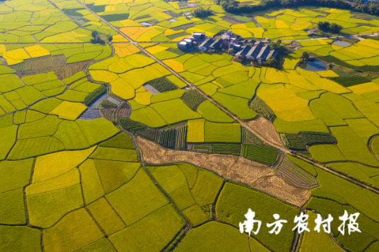 韶关始兴县生态田园 韶关始兴县生态田园