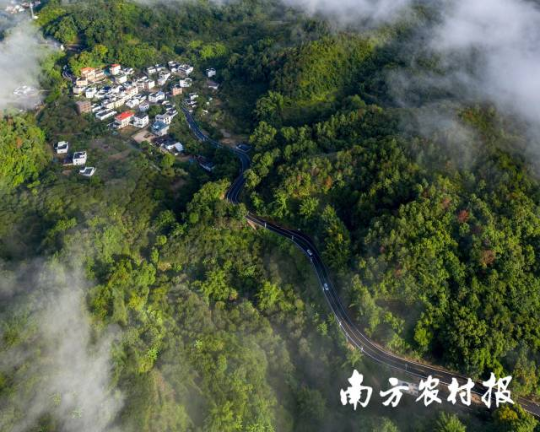 汕尾陆河县新山居 汕尾陆河县新山居