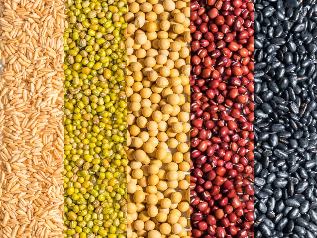 千库网_五谷杂粮背景平铺白天五谷杂粮室内静物摄影图配图_摄影图编号228791.jpg 图片