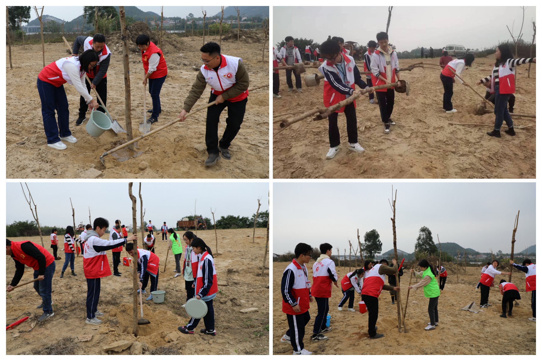 植树.jpg