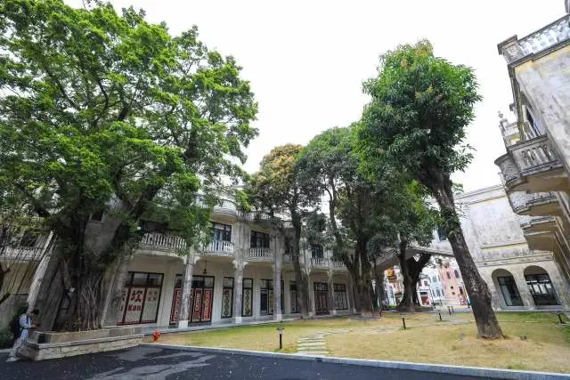 古树与美堂酒店的古朴建筑相映成趣。 图片