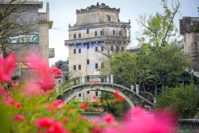 如今的赤坎华侨古镇,四季常绿、四时有花。 图片