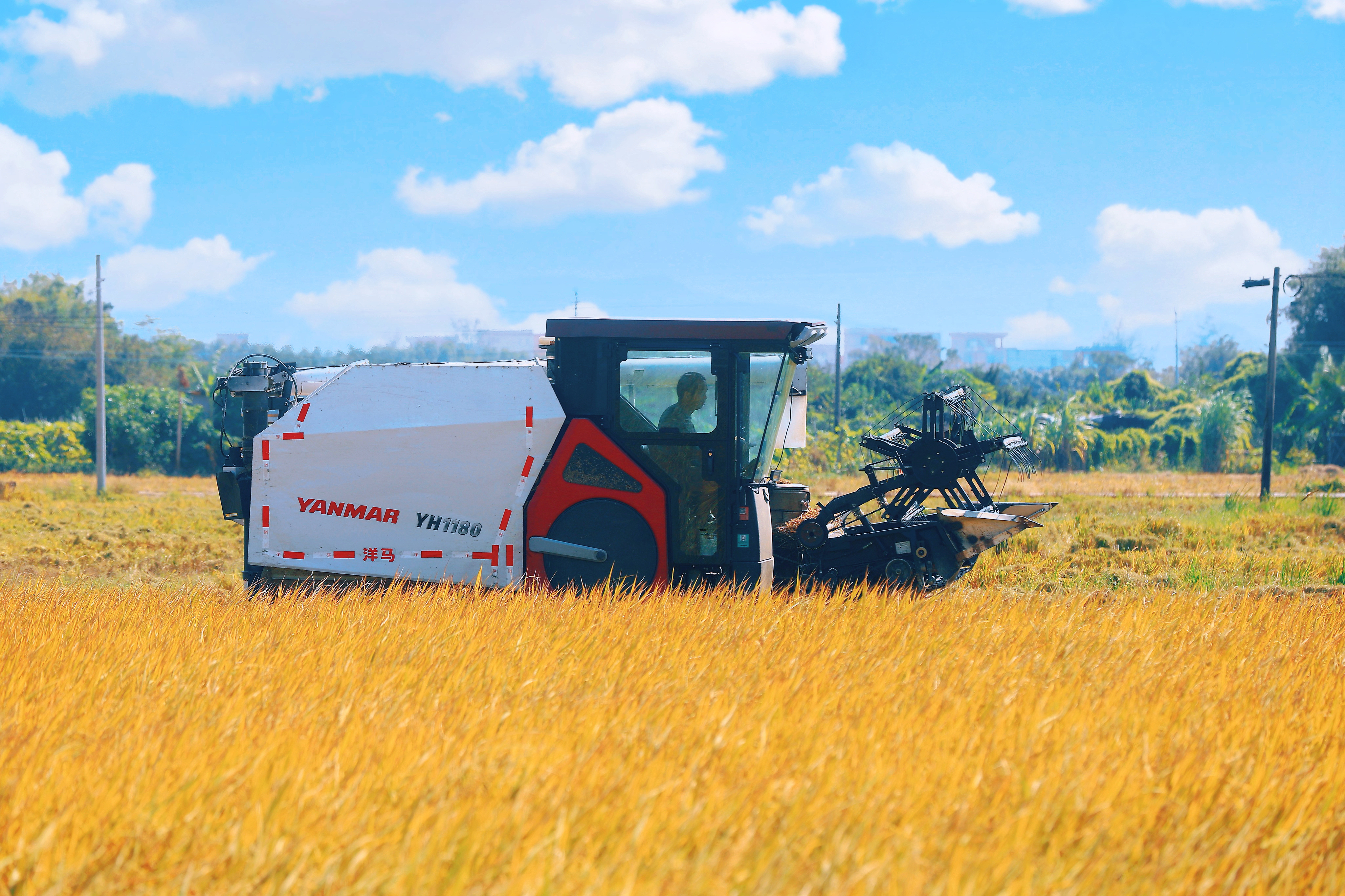 （吴瑞彬 摄） (4).jpg