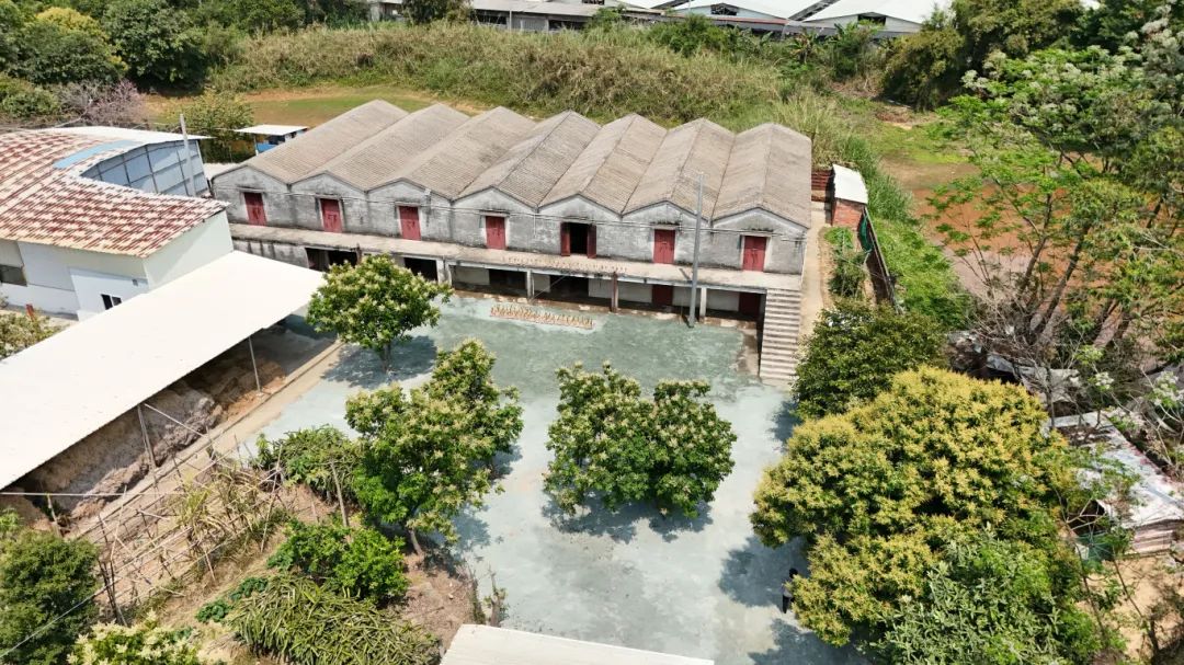 位于水口镇向阳村的金山火蒜厂--吴瑞彬 摄.JPG