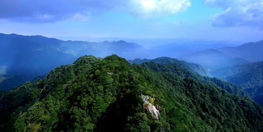 国际生物多样性日 | 广东物种“家底”有多厚？
