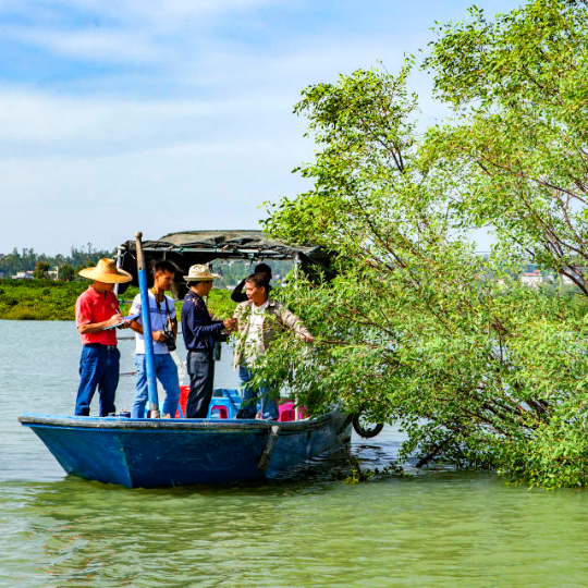 红树林人工造林调查。拍摄：严余易