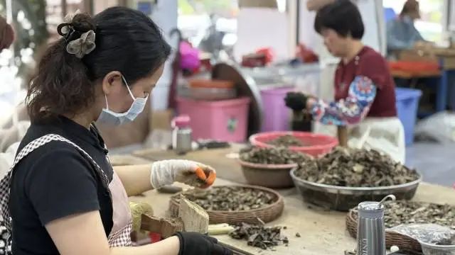 沉香加工利用。 沉香加工利用。