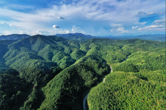 “绿色家底”为广东林下经济发展奠定了扎实基础 