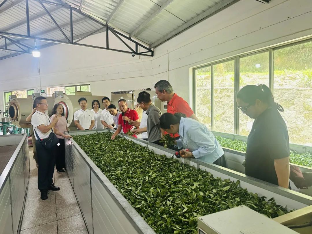 天露仙缘 (6).jpg