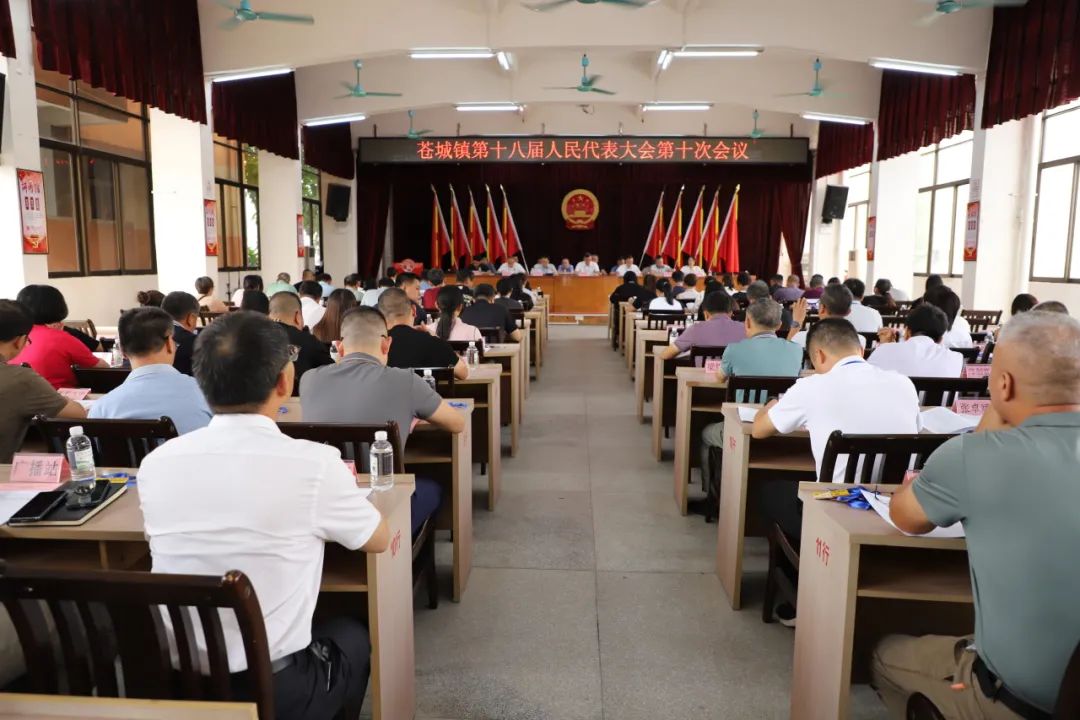 苍城镇第十八届人民代表大会第十次会议胜利召开