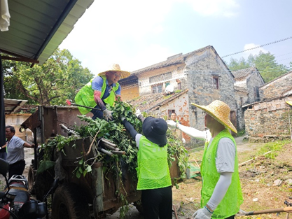 全民动员，共筑健康防线——苍城镇召开爱国卫生运动誓师大会