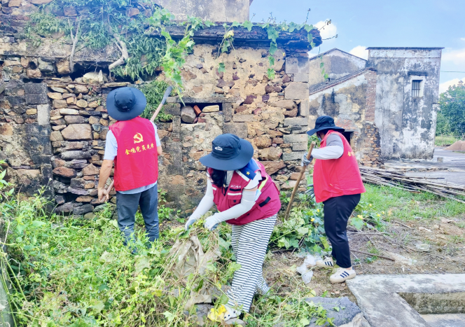 金鸡镇：柔肩扛起“硬防线”，巾帼力量奋战基孔肯雅热防控一线