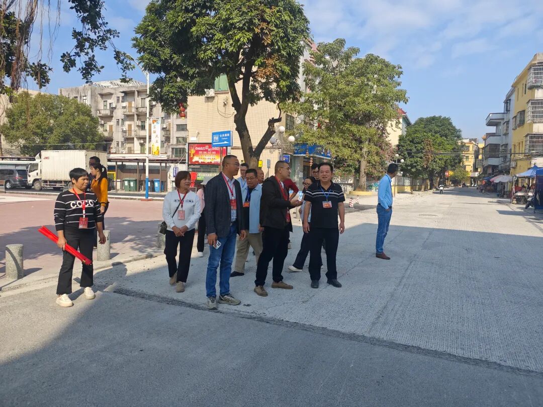 龙胜镇人大组织开展2025年第四季度人大代表视察活动