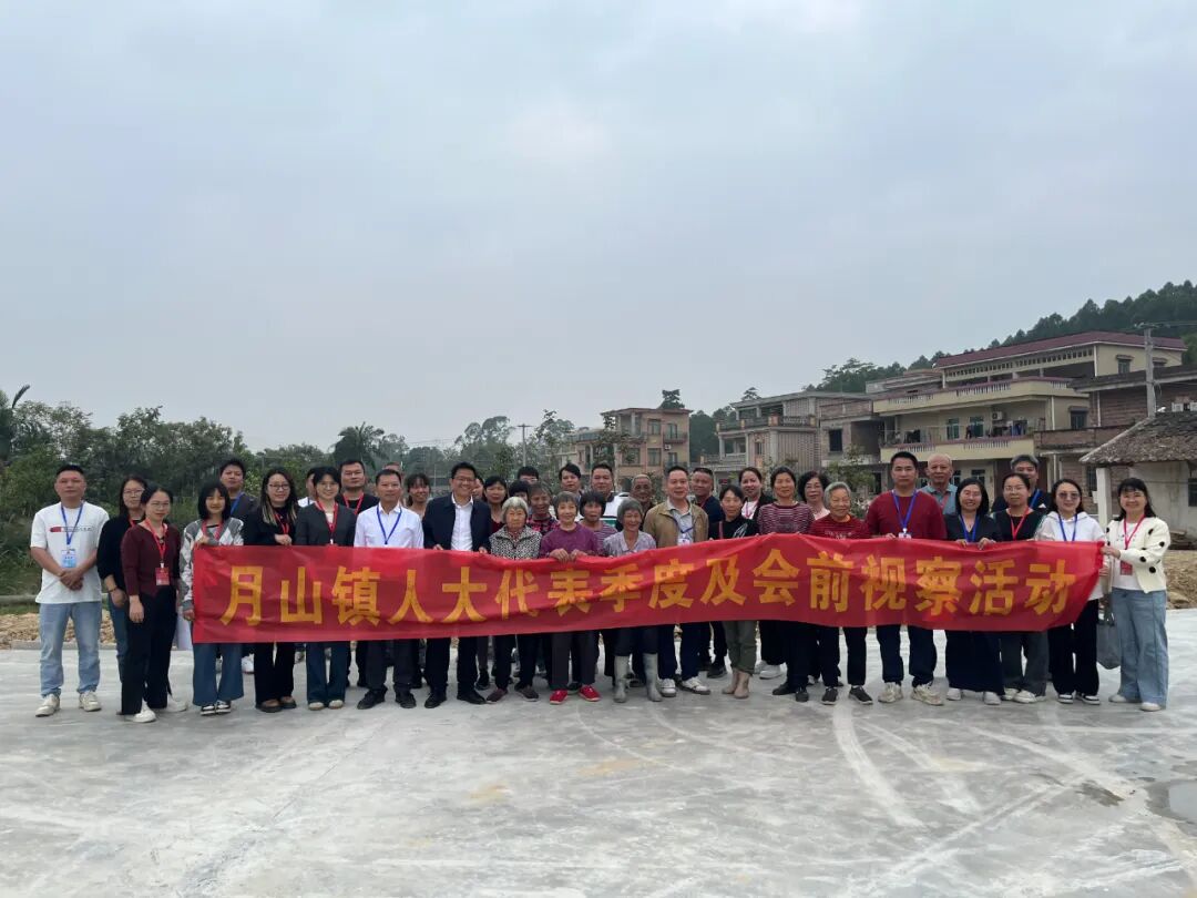 履职为民察实情 凝心聚力促发展——月山镇开展第四季度视察活动