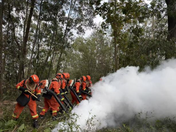 以演促练强本领 筑牢防线护平安—— 2025年海棠直播
森林火灾扑救实战联合演练顺利举办