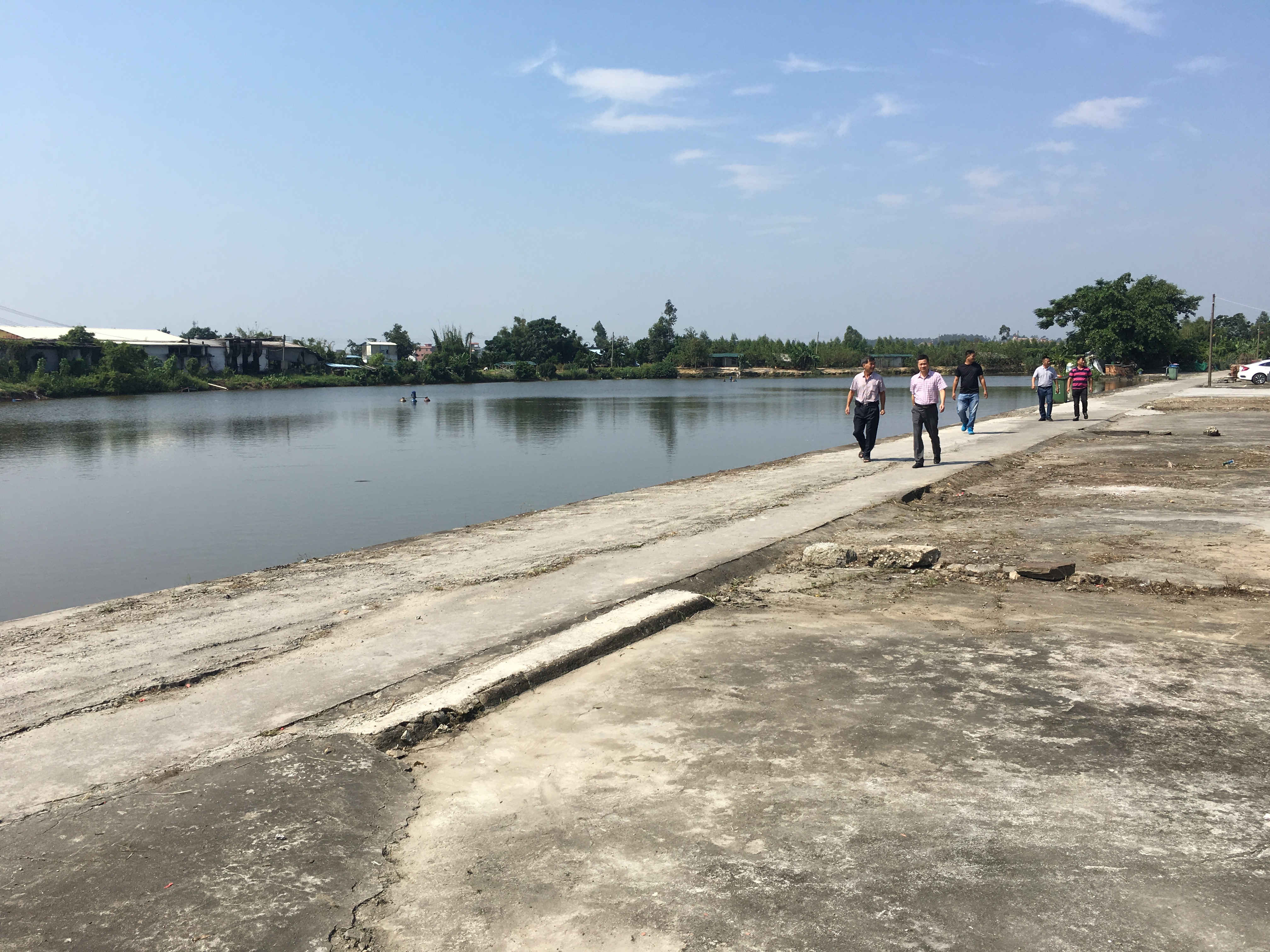 西安龙田村清理后美哒哒的.jpg 西安龙田村清理后美哒哒的.jpg