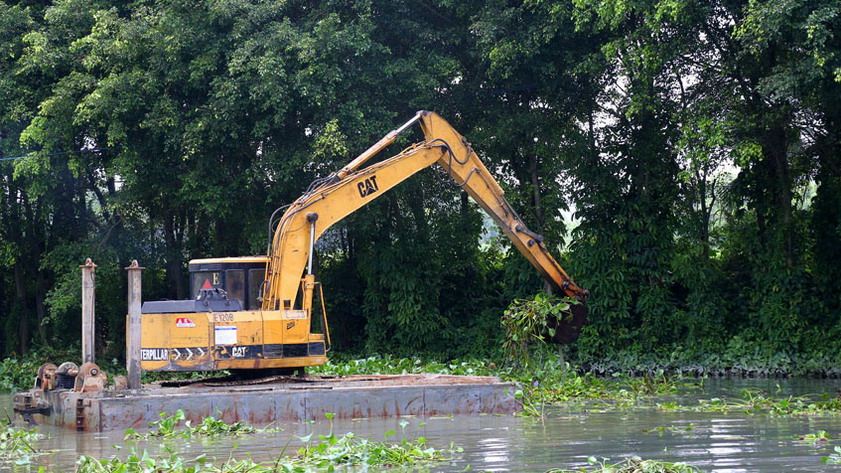 C:UsersadminDesktop20万平方米水浮莲占领辖区河渠 长沙街道向污染宣战33_调整大小.jpg C:UsersadminDesktop20万平方米水浮莲占领辖区河渠 长沙街道向污染宣战33_调整大小.jpg