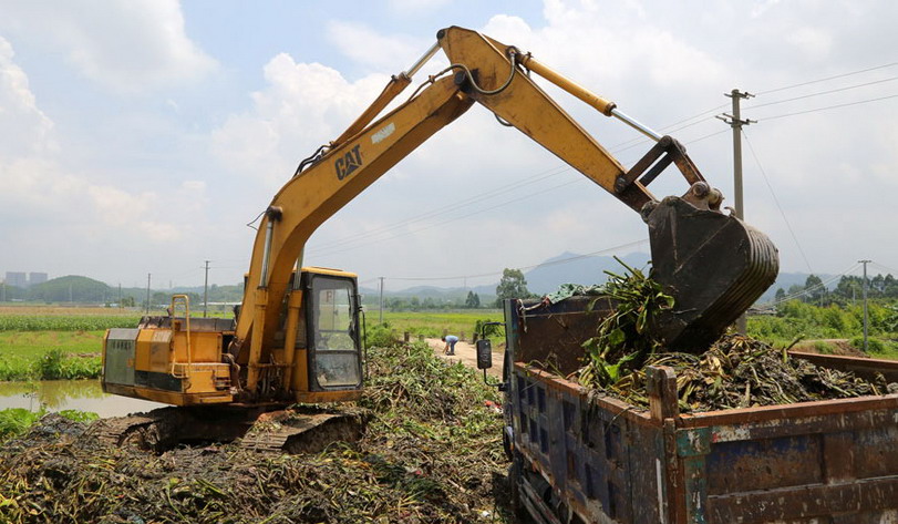 C:UsersadminDesktop20万平方米水浮莲占领辖区河渠 长沙街道向污染宣战44_调整大小.jpg C:UsersadminDesktop20万平方米水浮莲占领辖区河渠 长沙街道向污染宣战44_调整大小.jpg