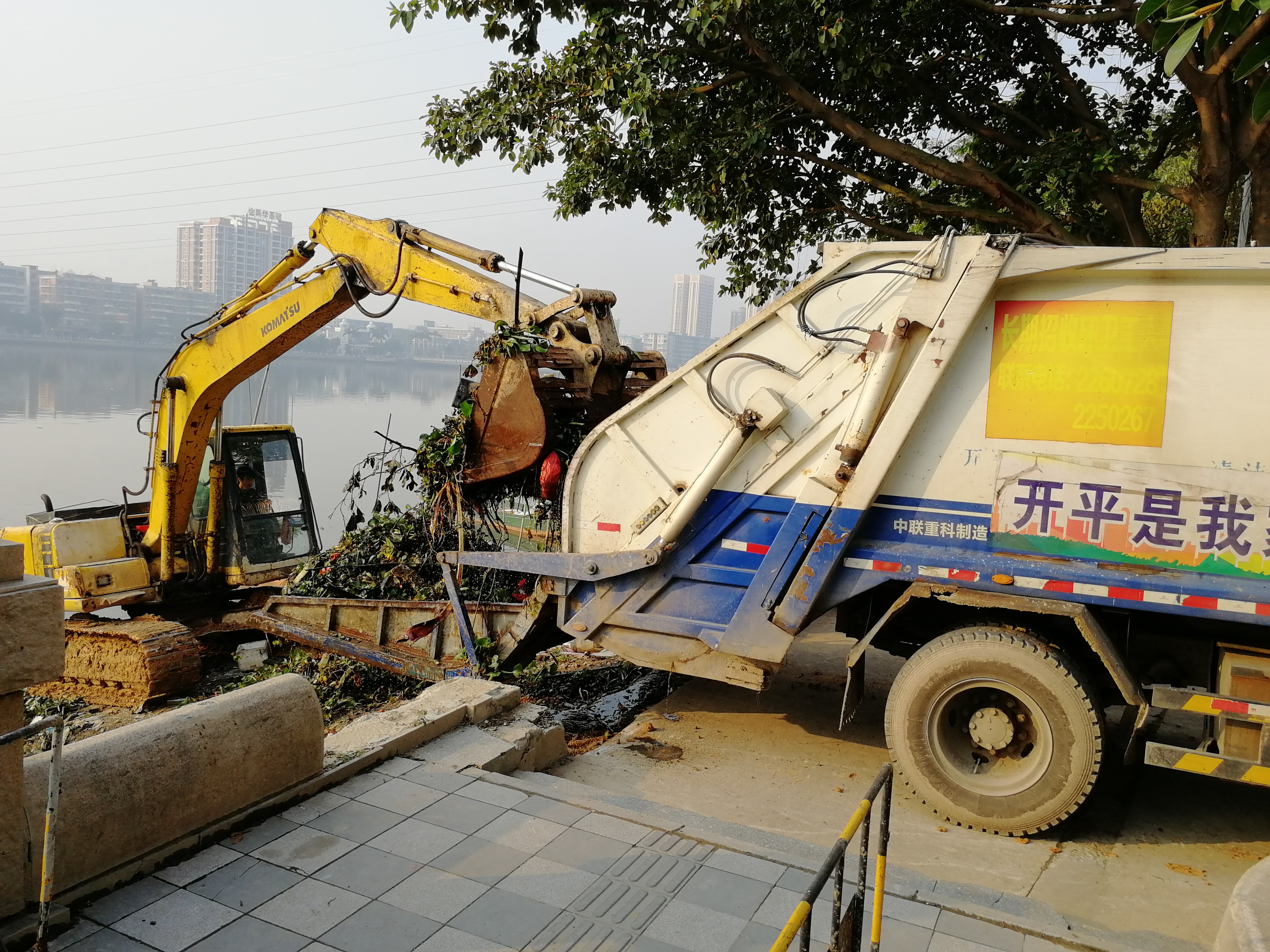 打捞草洲村水浮莲_20190312170901.jpg 打捞草洲村水浮莲_20190312170901.jpg